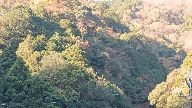 억새로 유명한 이와와키산 등산