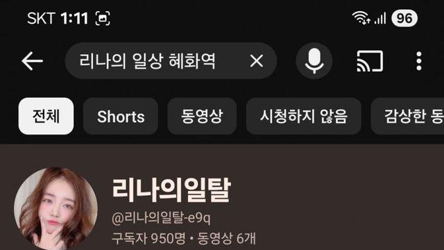 혜화역시위때 시비거는 남혐 페미와 마주친, 정상적인 여자 리나