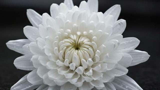 가족 중 2명이 배우…한국 영화계 빛낸 '노배우'가 별세했다