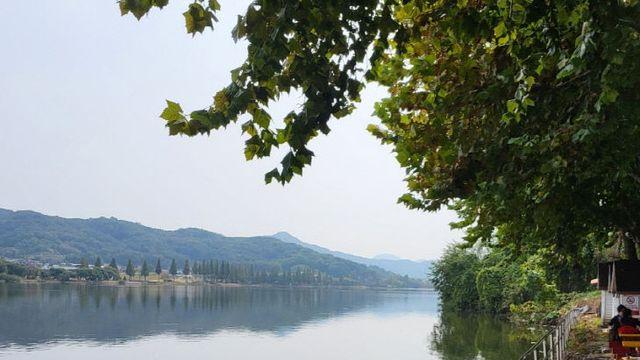 [맛있는 여행] 93-아름다운 경관과 맛이 공존하는 아산시 신정호수