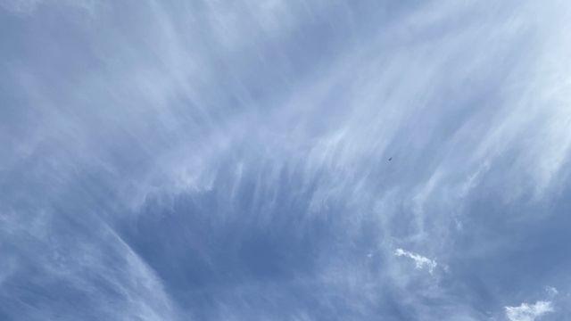 흐르는 강물처럼 사라져 가네