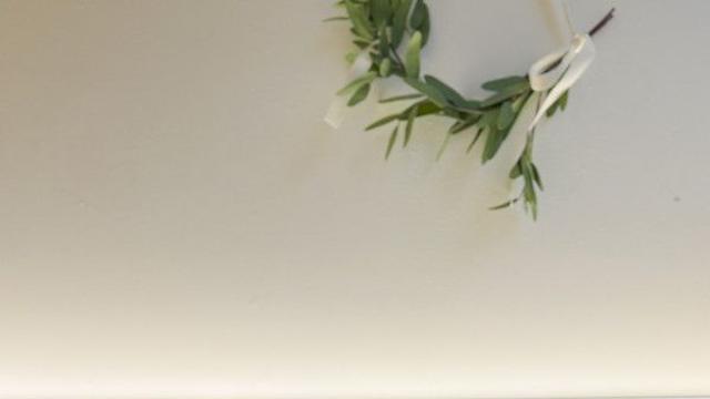 블랑이랑 양평 메리 도그 하우스 다녀왔어요!!