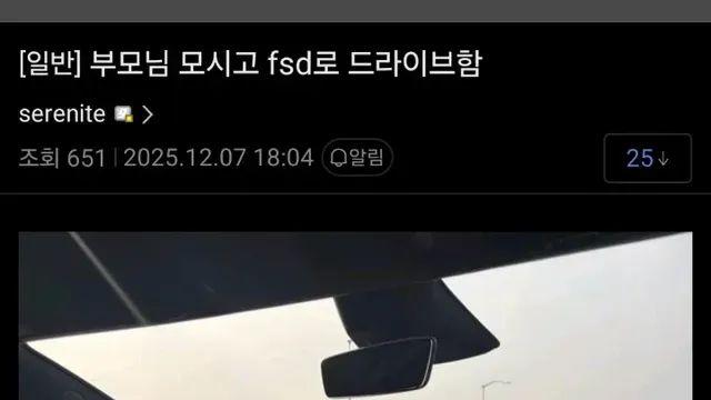 테슬라 FSD의 순기능 (꼭 상용화 되어야 하는 이유)