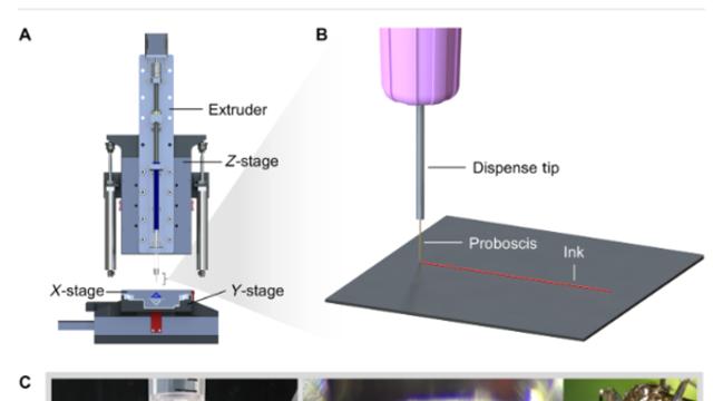 결국 모기 새끼들의 쓸모를 찾아내고 만 과학자들