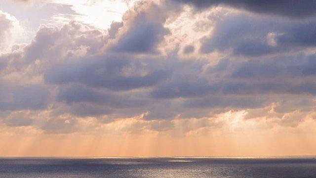 오랜만에 올리는 사진