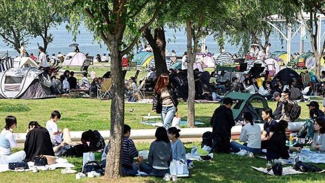 경고도 없다…‘이 동물’에 먹이 주면 최대 100만 원 과태료 (서울)