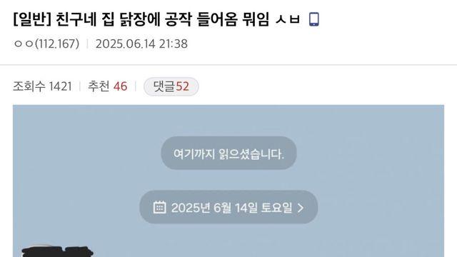 친구네 집 닭장에 공작 들어옴 뭐임? 