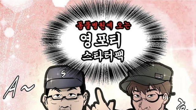 동물병원에 오는 영포티 스타터팩