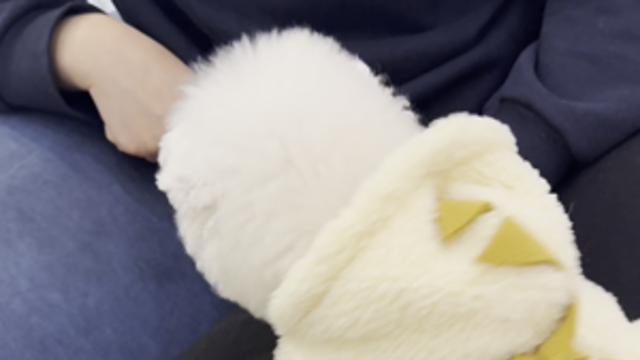 간식 빨리 주세요????