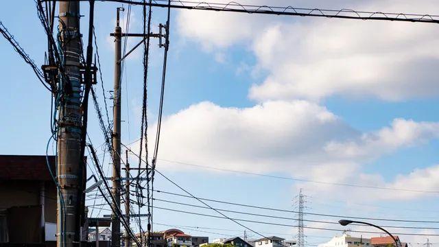 가고시마 사진 몇장