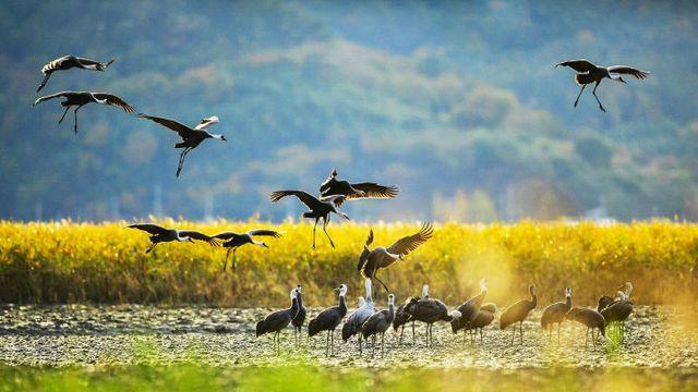 순천시, '한국 건강 지수' 호남권 1위