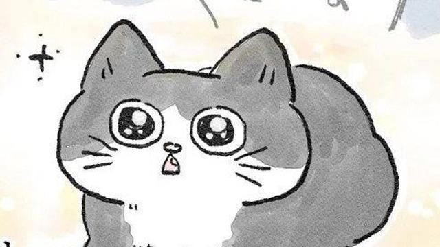 고양이가 되어버린 중년남자