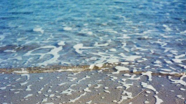 EL64 크로스현상 결과/ 월포,이가리,호미곶