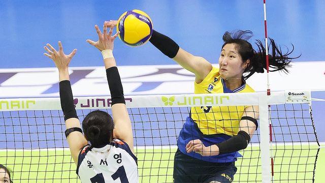 강성형 현대건설 감독 