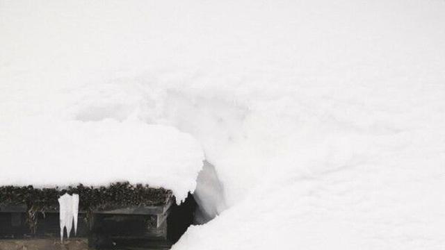 [클로즈업 필름]영화와 생(生)의 실감을 포착하다 '여행과 나날'