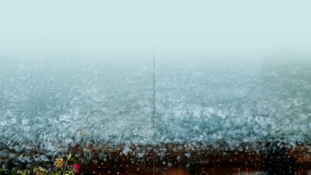 초이문 아티산 플라워, ‘크리스마스 트리 컬렉션 2025’ 공개