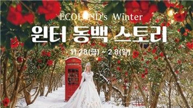 [제주소식] 에코랜드 테마파크, 동백꽃 주제 '윈터 동백스토리'