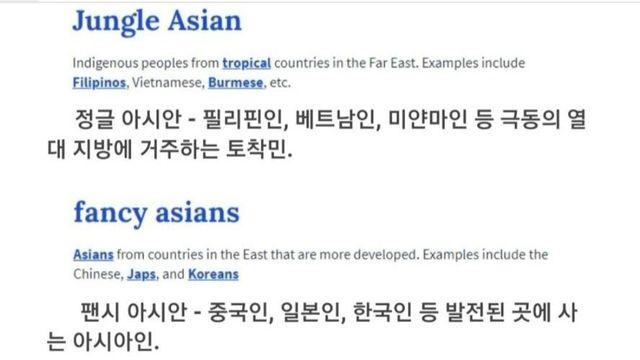 서양에서 아시아 인종 갈라치는 차별 용어