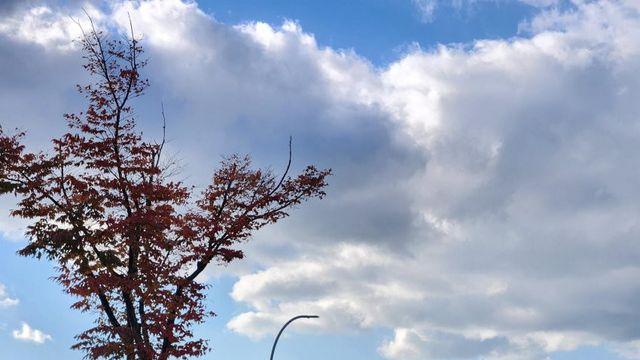 스압) 나만의 작고귀여운 미니스프린터 만들기