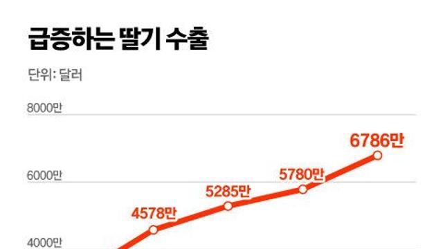 딸기 좋아하는 한국인들 큰일난 이유