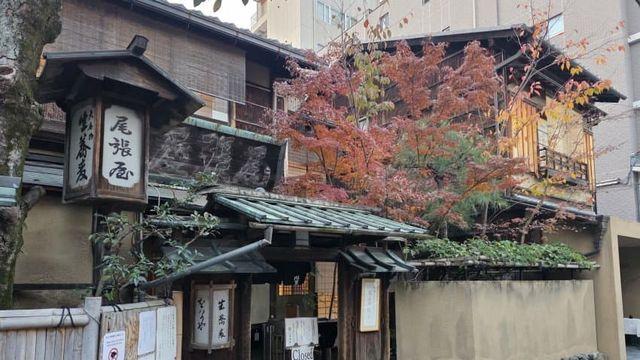 [교토] 혼케 오와리야 본점 (560년 된 소바집)