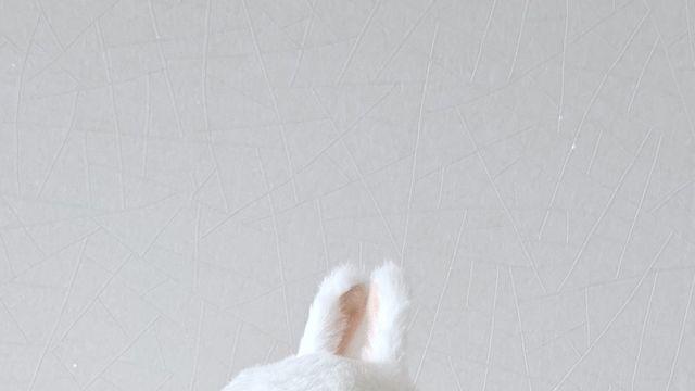 마시마로 인형 새로 나온다고 함