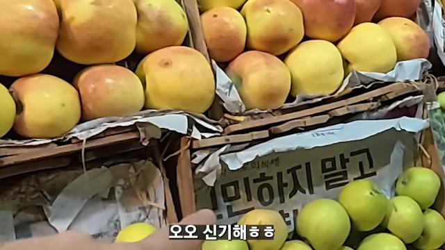 파키스탄까지 점령한 K 신문지