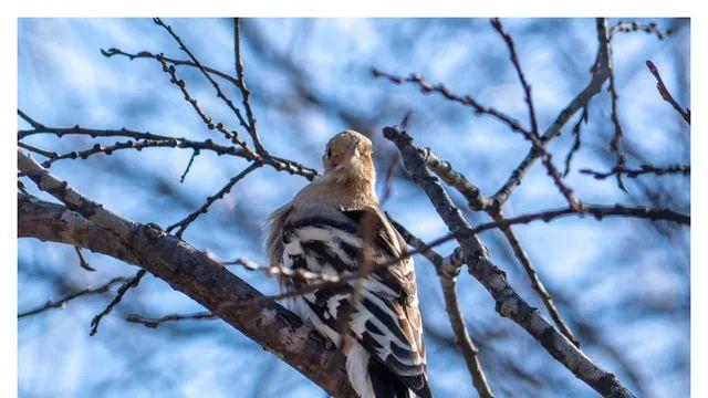 시발 소원성취했다 (8pic