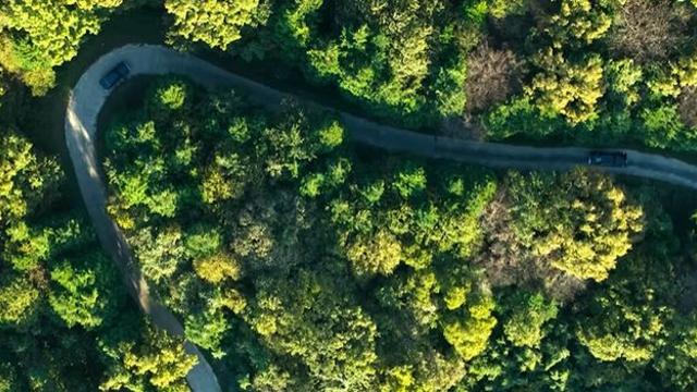 디즈니+ 각잡고 준비했다…공개 전부터 시즌2 확정해버린 한국 드라마