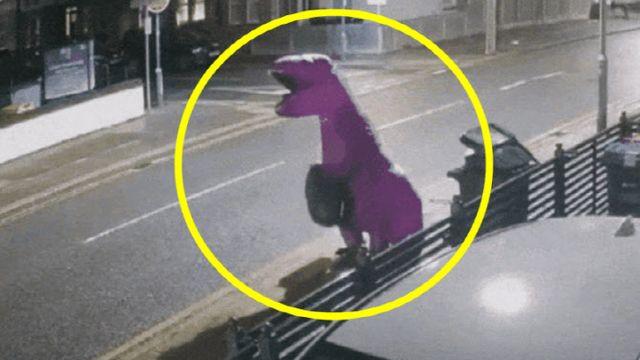 쓰레기 투척도 가지가지...'공룡탈' 누구냐 넌 (영상)