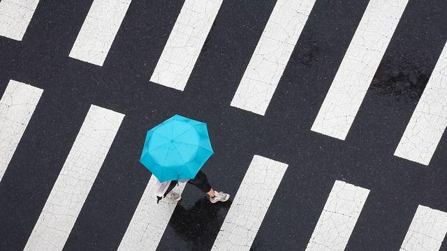 안양서 횡단보도 건너던 초등학생, 우회전 학원 버스에 치여 숨져