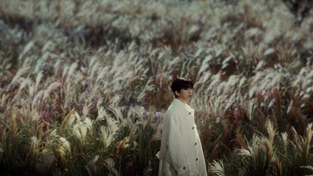 갈대밭 앞 애절한 감성...임영웅, 이번엔 이별노래다