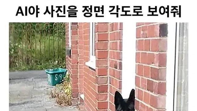 이 사진을 정면 각도로 보여줘