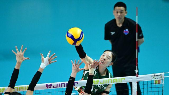 감독대행 체제 무패 행진...정상 궤도 진입한 기업은행, 사령탑은 