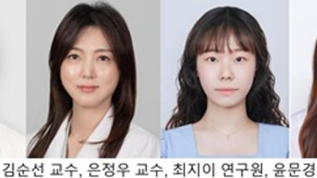 장내미생물 Bacteroides eggerthii, 대사이상지방간질환(MASLD) 개선 효과 입증