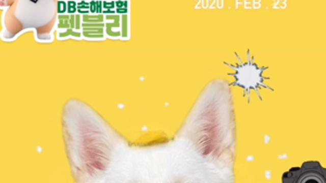 펫블리 프렌즈 멍플루언서에 도전해봤어요