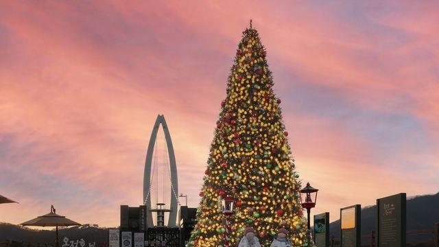 [픽! 임실] 옥정호·붕어섬, 성탄절 분위기 '물씬'