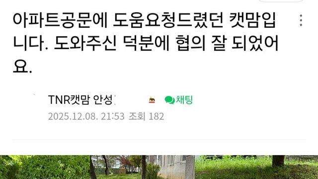 아파트 해처리 지켜냈다는 캣맘