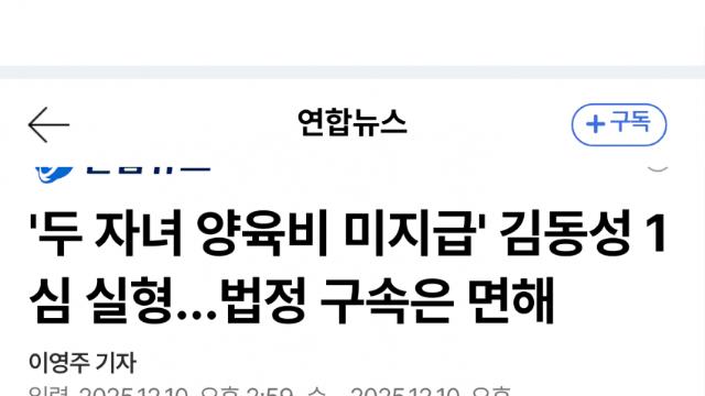 김동성 징역 6월 선고…양육비 9천만 미지급