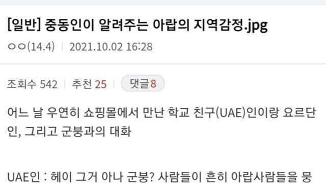 아랍의 지역감정.JPG