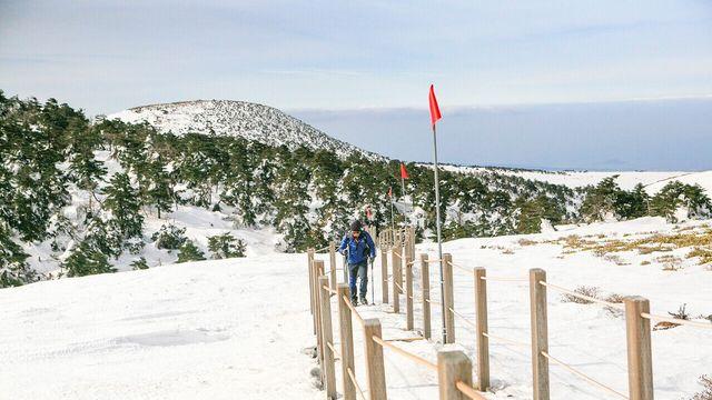 첫눈도 왔는데 한라산·울릉도 눈꽃 산행 해볼까!