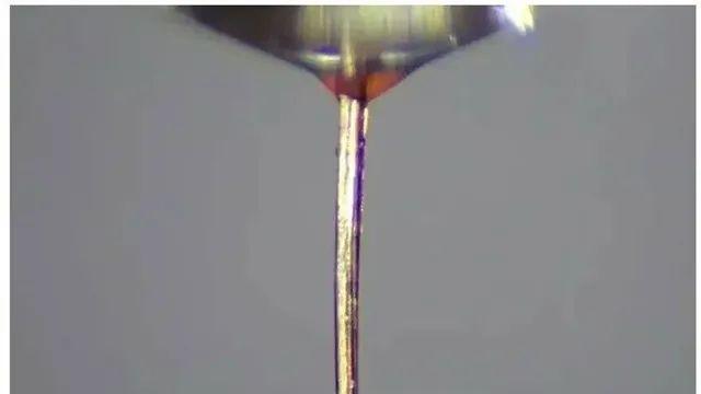 드디어 쓸모가 생긴 좆기 근황