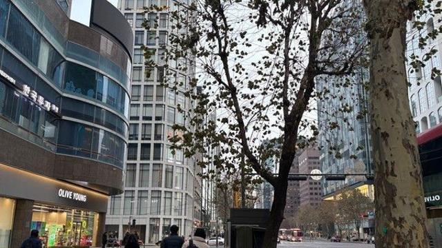 [오늘의 날씨] 낮부터 다소 포근한 날씨···강원 일부 지역 눈·비