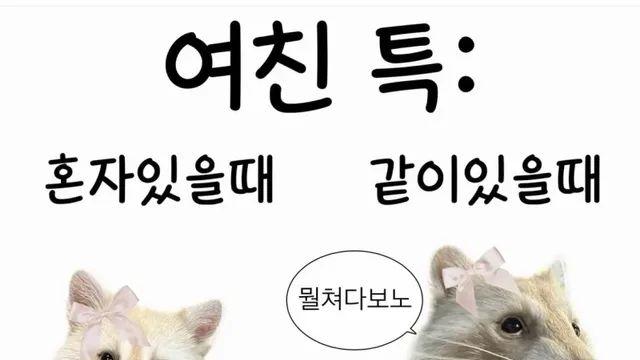 여친(or 아내) 특징