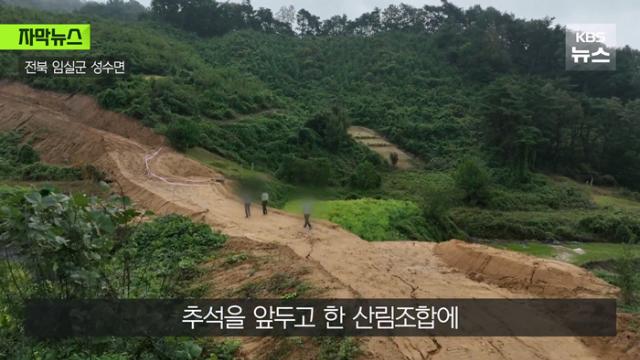 아버지 묘소가 사라졌다고 연락받은 사람