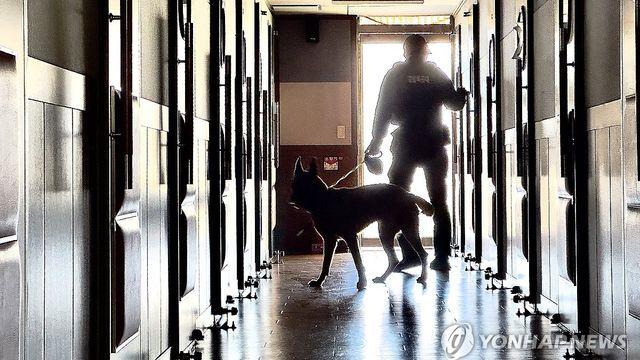 대구 고교에 한달 만에 또 '폭발물 설치' 허위 협박 메일