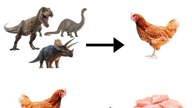 윤회가 존재한다는 증거