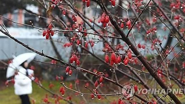 대구·경북 흐리고 가끔 비…경북 북부에는 눈