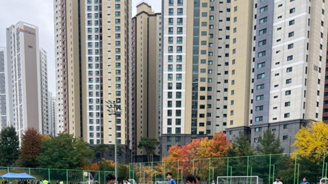 [2025 학교체육진흥회-스포츠동아 공동 기획] 팀워크 돋보인 하늘빛중학교, 풋살대회 정상