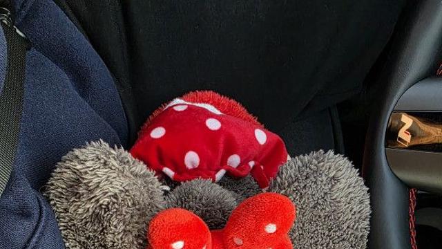 산책 다녀왔어요 ????